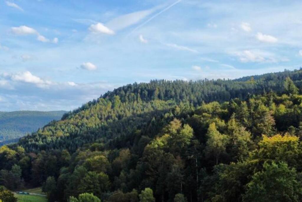 Apartament Wohnen Im Schwarzwald Mit Panoramablick Bad Herrenalb Zewnętrze zdjęcie